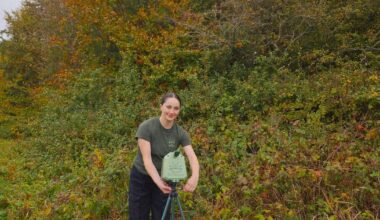 Meet the Irish tech watching over the insects that feed the world – The Irish Times