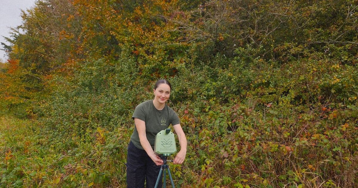 Meet the Irish tech watching over the insects that feed the world – The Irish Times