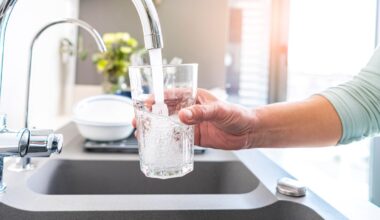 Environmental Protection Agency faces court challenge over manganese in drinking water – The Irish Times