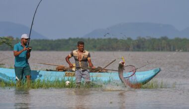 Sri Lankan villagers adapt to threat of snakehead fish invasion | Gallery News