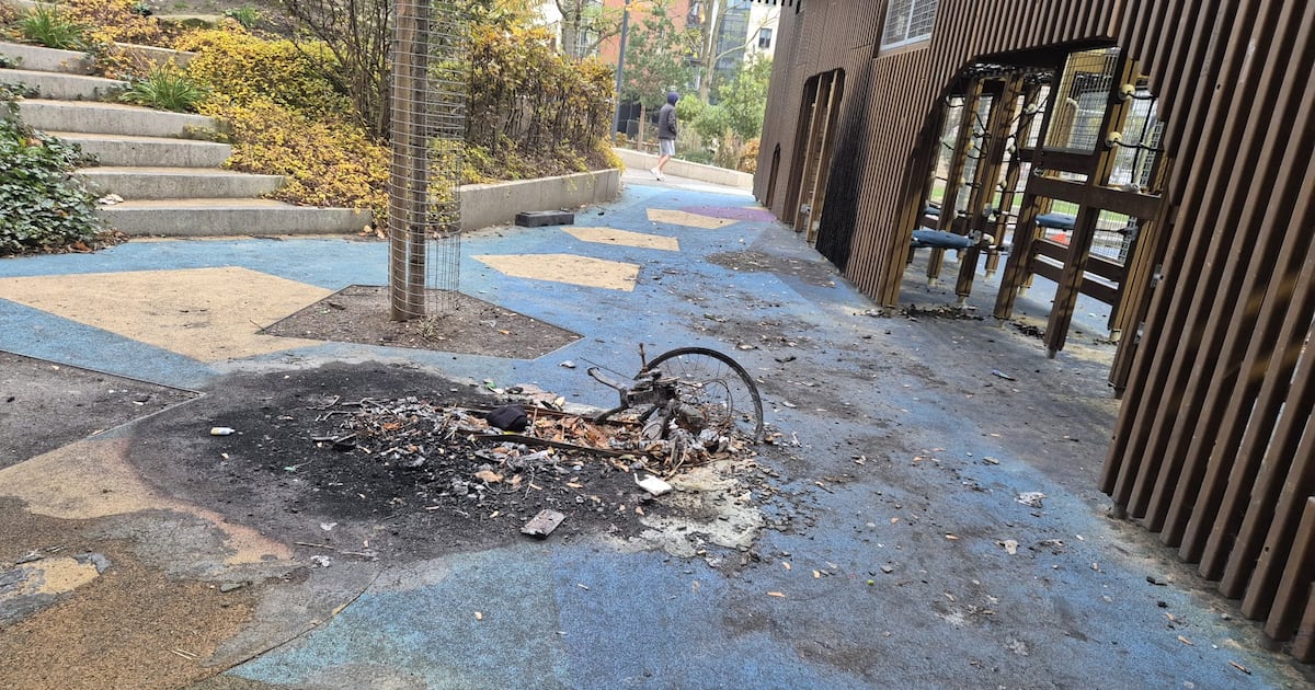 Vandals cause extensive damage to Dublin city centre playground, rendering it unsafe – The Irish Times