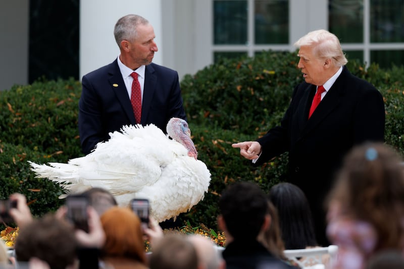 President Donald Trump pardons a turkey named Gobble during a ceremony in the Rose Garden at the White House, in Washington, DC. Photograph: EPA