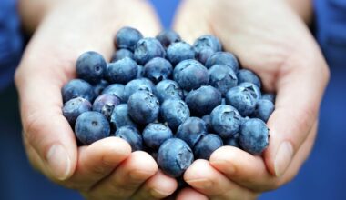 Scientists discover hidden weakness in Lyme disease bacterium