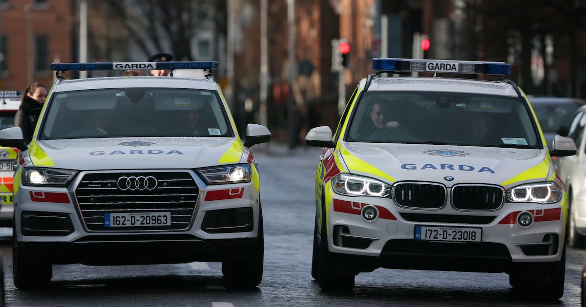Dublin man who reached 160km/h with his son in the car in chase with gardai is jailed – The Irish Times