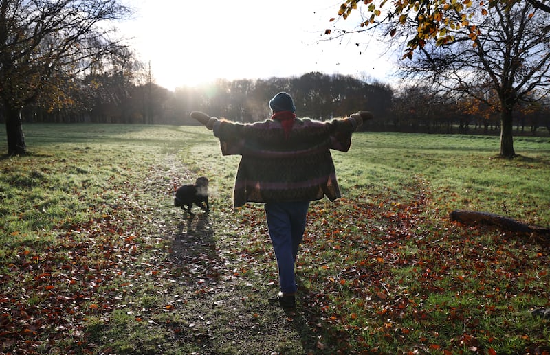 Aisling Rogerson with her dog Cuán in the Phoenix Park, Dublin. Photograph: Bryan O’Brien