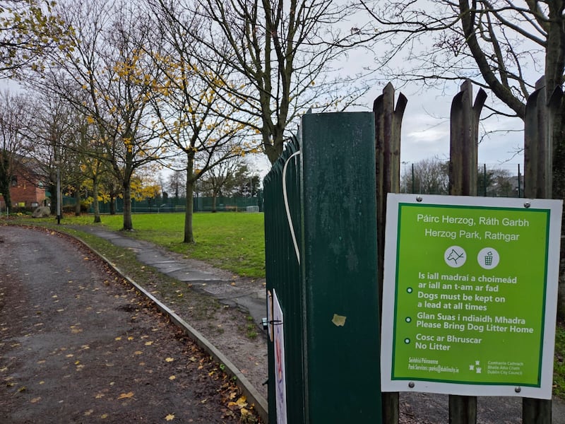 Herzog Park in Rathgar. Photograph: Joe Humphreys