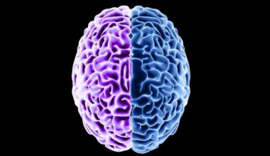 Aging Scrambles Brain Proteins – And Diet Could Partly Reverse It : ScienceAlert