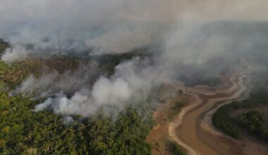 COP30: The latest in climate science, from faster warming to coral collapse