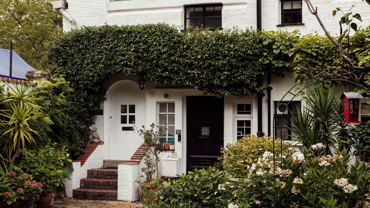 Inside the magical Chelsea studio and hardworking home of artist Suzy Murphy