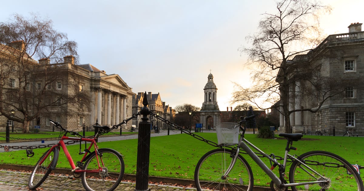 Two in court over alleged €500,000 Trinity College hardship fund fraud – The Irish Times