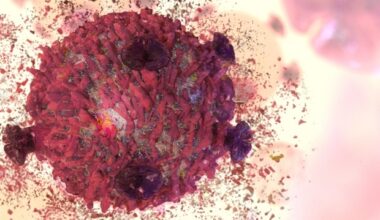 Researchers identify new molecular switch involved in programmed cell death