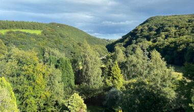 Glen of the Downs nature reserve could expand after NPWS acquires large parcel of forestry land – The Irish Times