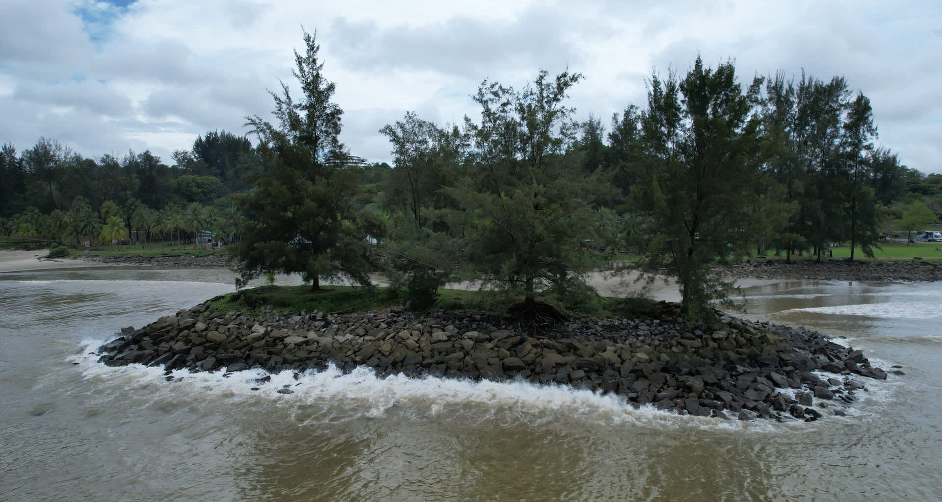 Scientists recently discovered three previously unknown species on Dauan Island, a tiny, remote stretch of land in Australia's Torres Strait.