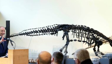 New dinosaur exhibit in Cork sees Taoiseach learn all about survival – The Irish Times