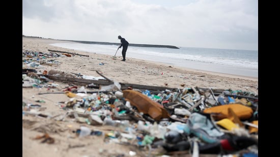 Ebola’s legacy reveals an uncomfortable truth: Environmental sustainability is not just conservation, it is disease prevention. (REUTERS)