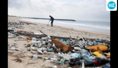 Lesson from past epidemics: The front lines of public health are not hospitals, they are habitats