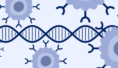 How is the FOXP3 Gene Regulated?