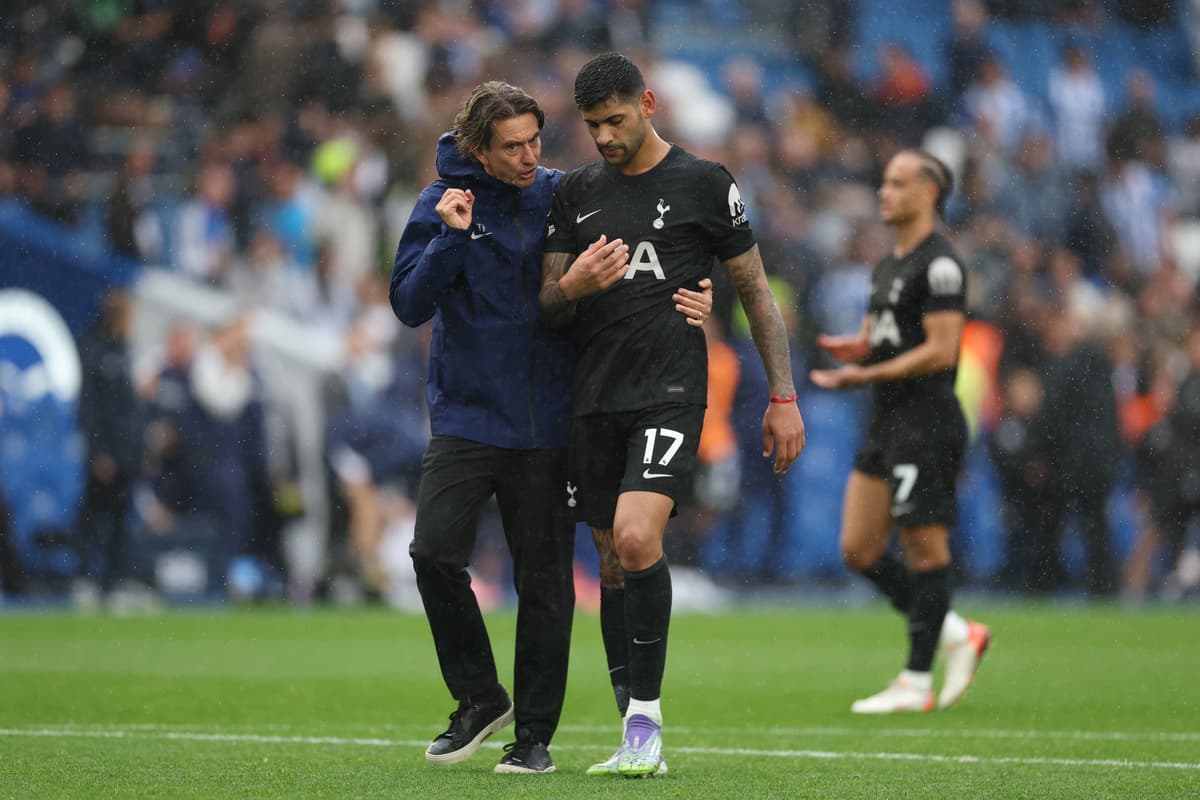 Pictured: Tottenham handed fitness boost ahead of north London derby - London Evening Standard