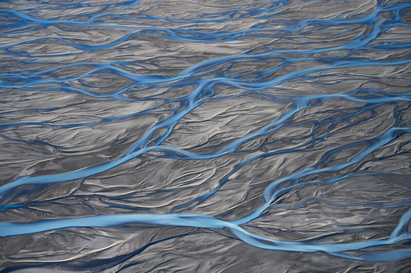 Aerial view of winding, braided blue rivers flowing across a grayish, textured landscape, creating an abstract pattern resembling veins or roots.