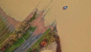 EU’s weakened climate target raises risk of missing net-zero, top adviser warns – POLITICO