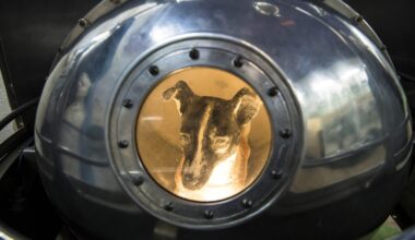 Why did we send Laika to space? The tragedy of the first animal to orbit the earth, explained
