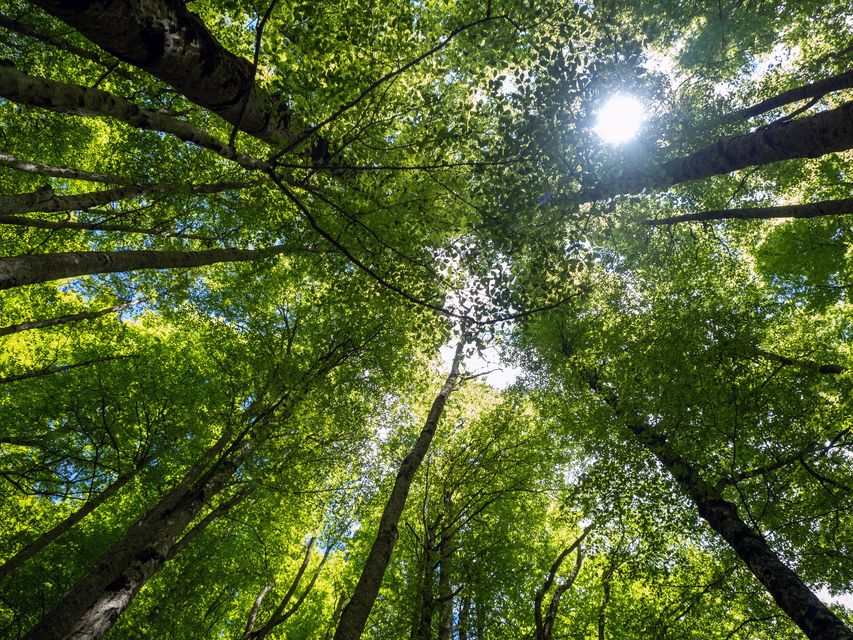 'Climate tech isn’t just about the environment; it’s about reshaping manufacturing, materials science and how we approach industrial chemistry,' said Ó Moráin. Stock image/Getty