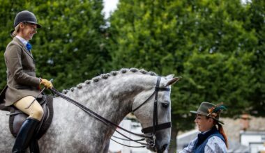 RDS members bridle at instruction to use Laya Arena name for showgrounds – The Irish Times