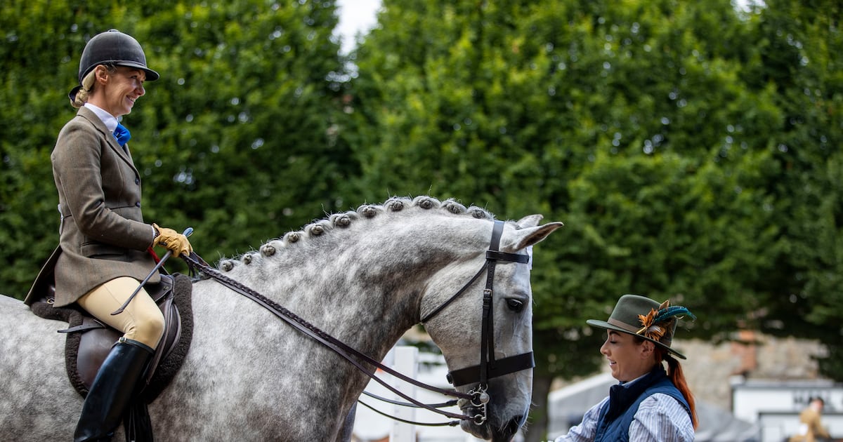 RDS members bridle at instruction to use Laya Arena name for showgrounds – The Irish Times