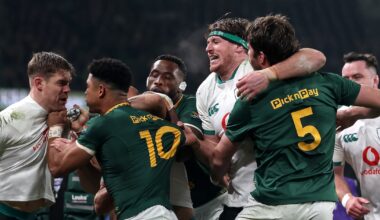 Ireland v South Africa was a poisonous match, but don’t blame the referee – The Irish Times