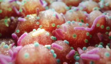 Common Drugs Can Rewire Your Gut For Several Years, Study Finds : ScienceAlert