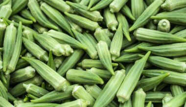 What Research Says About Its Blood Sugar Control Effects