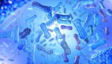 Image Credit: FOTOGRIN/Shutterstock.com