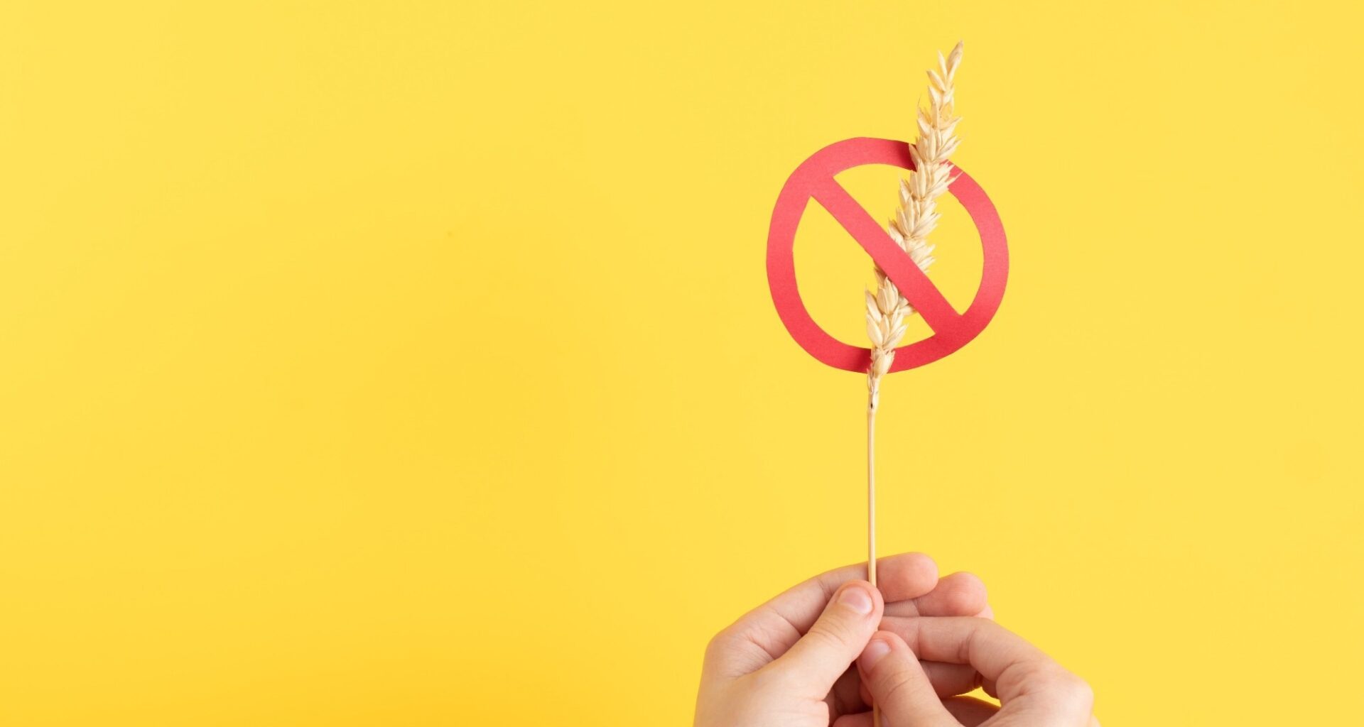 Study: A Gluten Free Food Guide Used in Diet Education to Improve Diet Quality in Children with Newly Diagnosed Celiac Disease: A Pilot Randomized Control Trial. Image Credit: Galigrafiya / Shutterstock