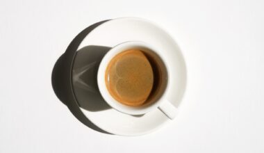 Study: Caffeinated Coffee Consumption or Abstinence to Reduce Atrial Fibrillation. Image Credit: Iryna Tsiareshka / Shutterstock