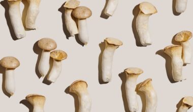 Review: Mushroom consumption impacts on biomarkers of cardiometabolic disease risk and immune function: a narrative review from a whole food perspective. Image Credit: YRABOTA  / Shutterstock