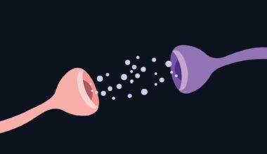 Study: Brain activity associated with breakthrough food preoccupation in an individual on tirzepatide. Image Credit: Chandan Tripathy / Shutterstock