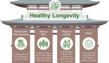 The illustration conceptualizes how fostering bonds and communication, plant-based communal dining rich in dietary fiber, daily routines with physical activity, and living with gratitude and “Ikigai” collectively support the vision of healthy longevity.