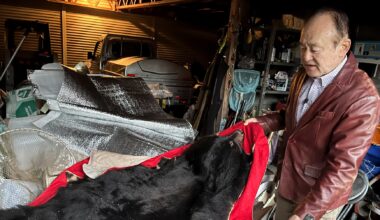 The roar that haunts him: Japanese bear attack survivor calls for ruthless response