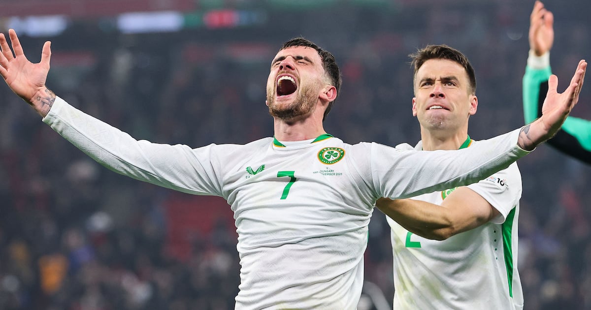 Taoiseach criticises Dublin local authorities over lack of sporting facilities – The Irish Times