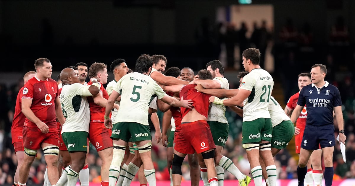 Eben Etzebeth red card mars South Africa demolition job as Wales slump to record home defeat – The Irish Times