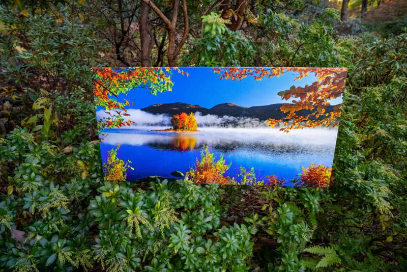 A vibrant landscape photo of a lake with autumn-colored trees and mist, displayed on a canvas and placed among green bushes and foliage in an outdoor setting.