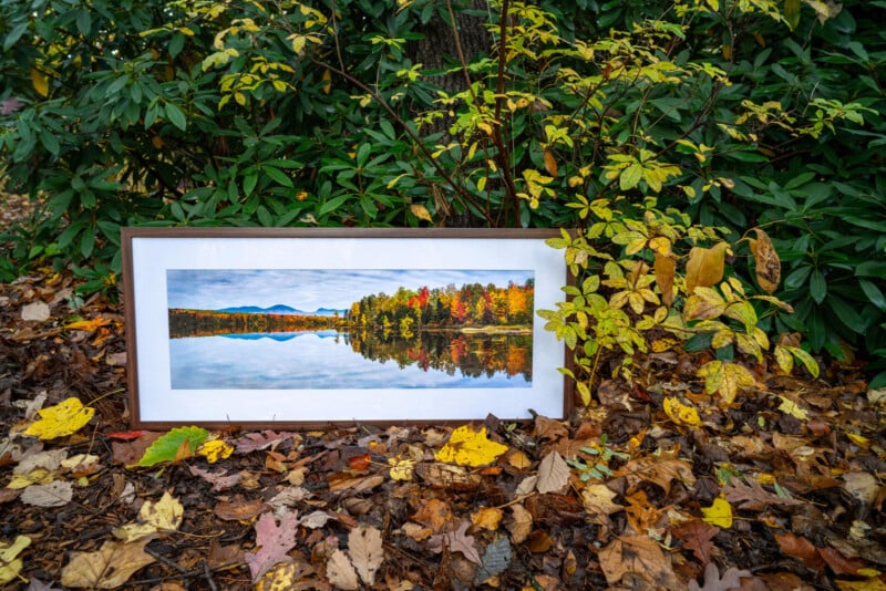 A framed photo of a lakeside autumn landscape with colorful trees and mountains is propped against leafy green and yellow bushes, surrounded by fallen leaves on the ground.