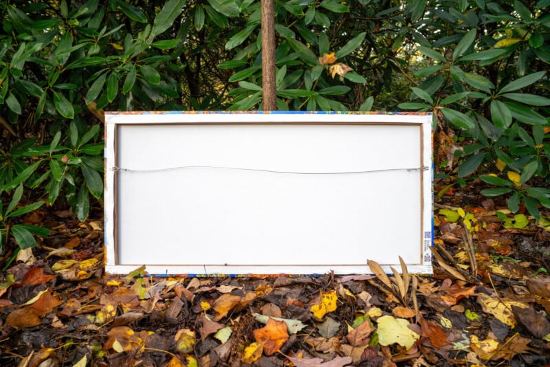 The back of a rectangular framed canvas is propped up outdoors on the ground, surrounded by fallen autumn leaves and green foliage. The frame has a hanging wire attached.