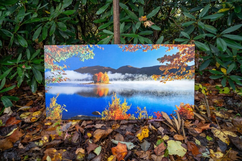A colorful landscape painting of a lake with autumn trees and distant mountains is displayed outdoors, surrounded by fallen leaves and green plants.