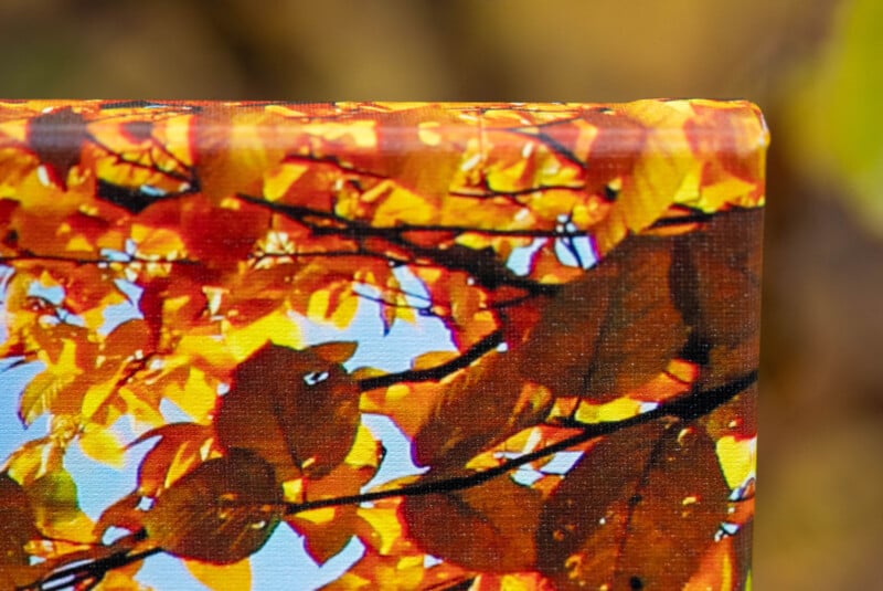 Close-up of a canvas print featuring autumn leaves in shades of yellow and orange against a blue sky, with the corner of the canvas visible in the foreground. The background is blurred with matching fall colors.