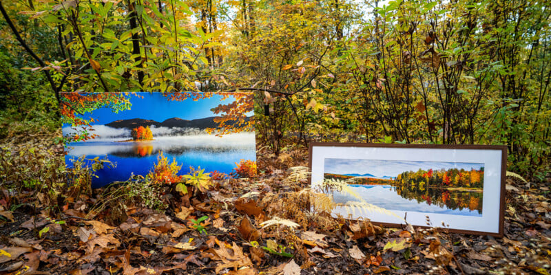 Two framed landscape photos of autumn trees by a lake rest on the forest floor among fallen leaves and colorful foliage, blending with the surrounding autumn scenery.