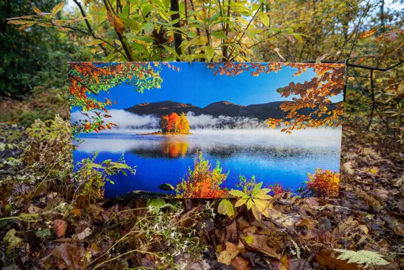 A vibrant photograph of a lake with autumn-colored trees and mountains is displayed outdoors, surrounded by real fall foliage and plants, blending nature with its photographic representation.