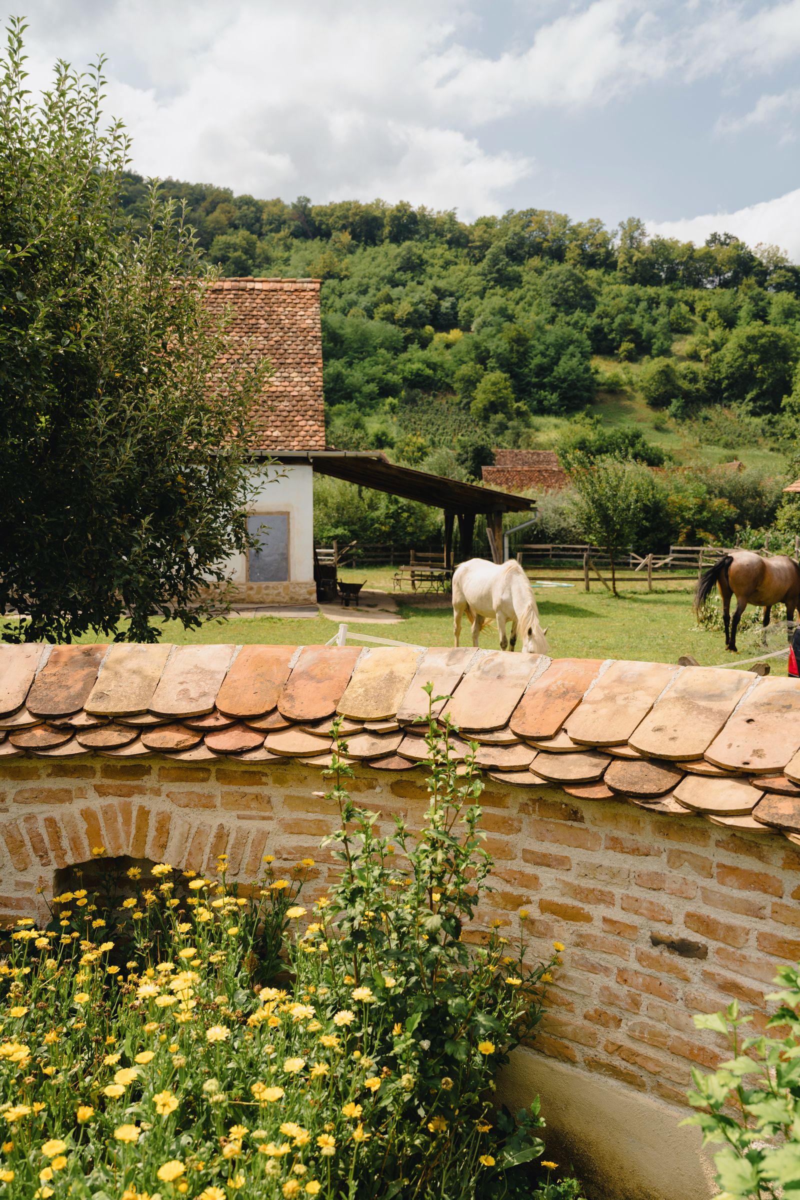 Image may contain Countryside Farm Field Nature Outdoors Pasture Rural Grassland Plant Vegetation and Architecture