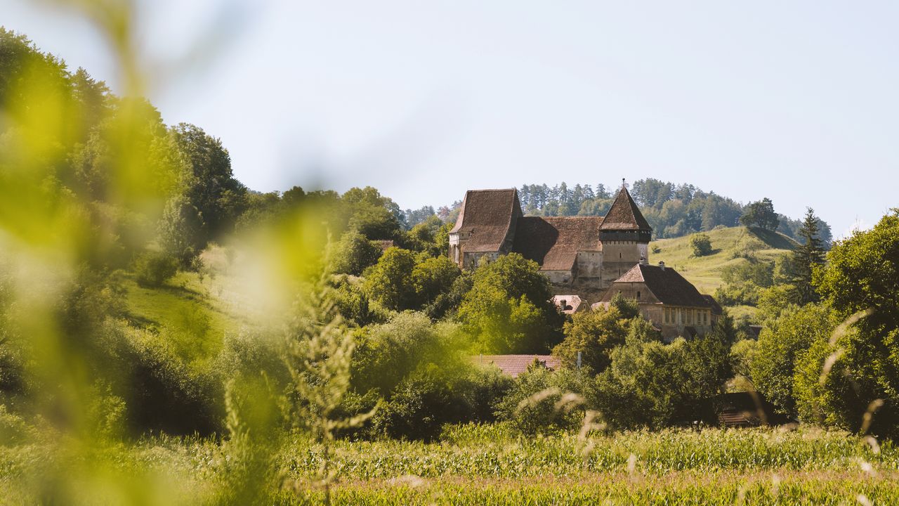 Inside an idyllic art school in the remote Transylvanian countryside