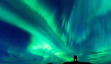 Finland’s aurora borealis, husky mushing and wintry wilderness bring a dream to life – The Irish Times